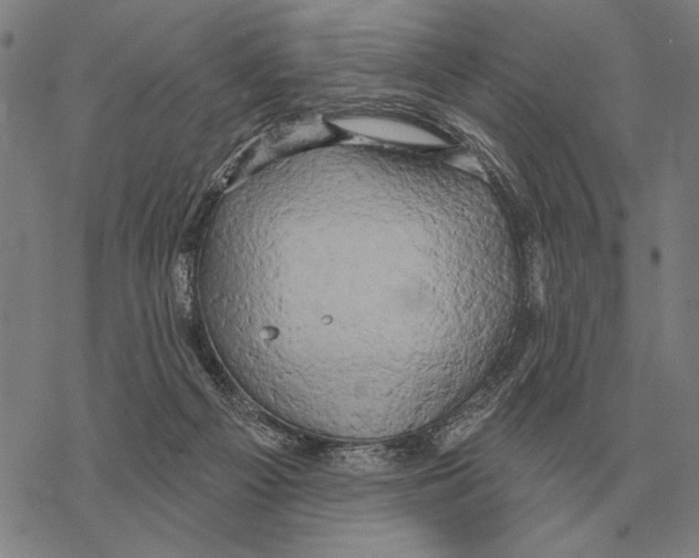 X0000068270121200605191837