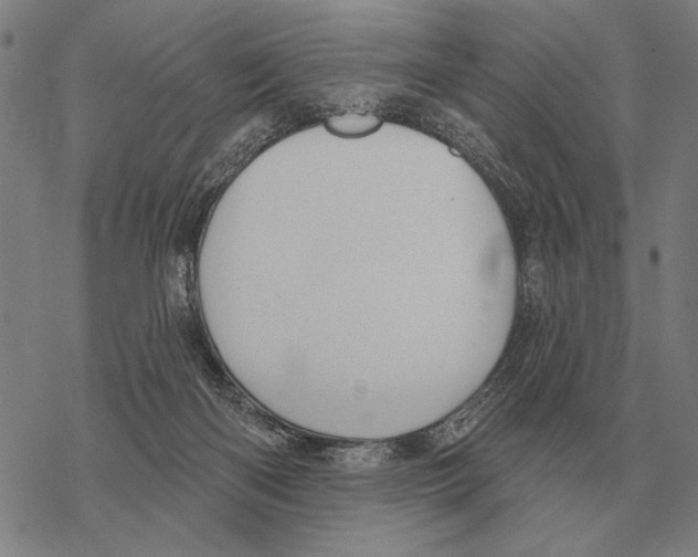 X0000068270122200605191837