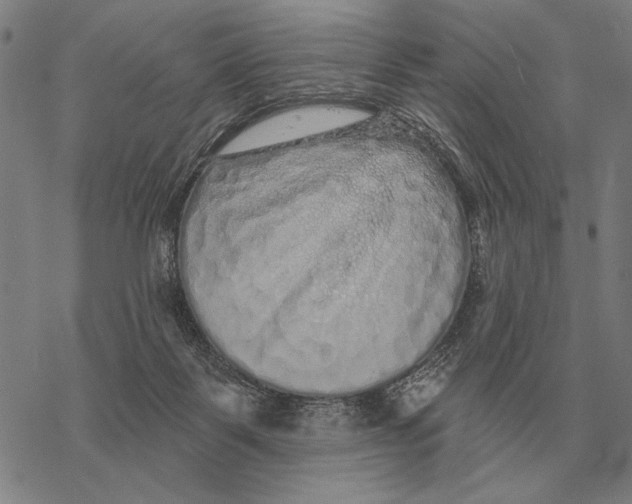 X0000068270123200605191837