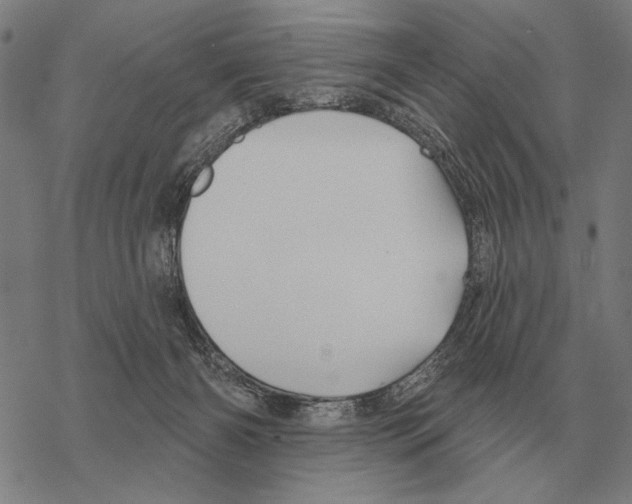 X0000068270126200605191837