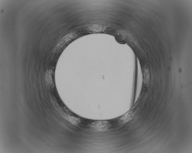 X0000068270128200605191837