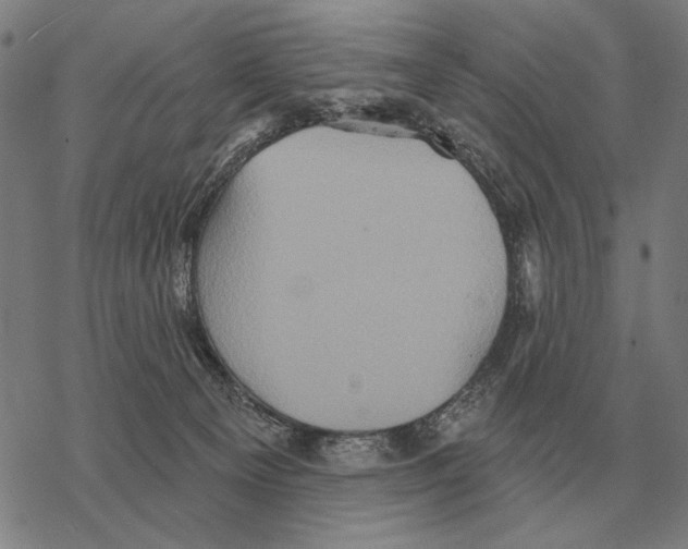 X0000068270129200605191837