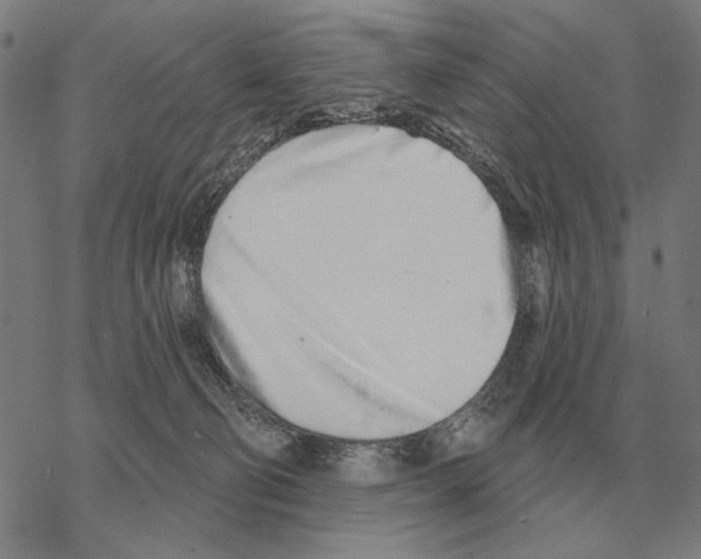 X0000068270130200605191837