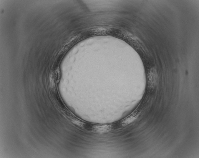 X0000068270131200605191837