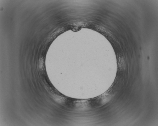 X0000068270132200605191837