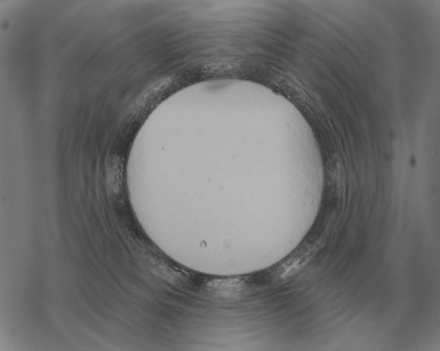 X0000068270133200605191837