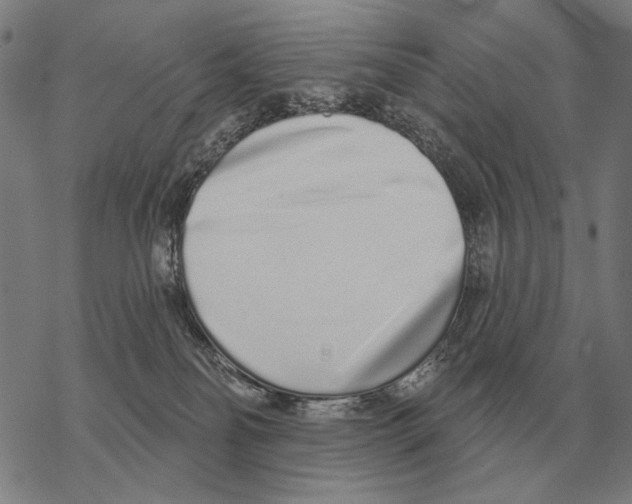 X0000068270134200605191837