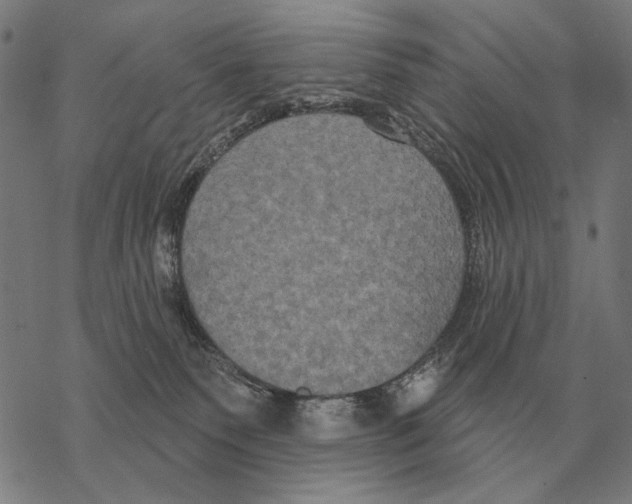 X0000068270135200605191837