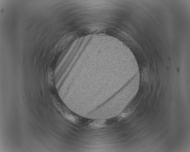 X0000068270138200605191837