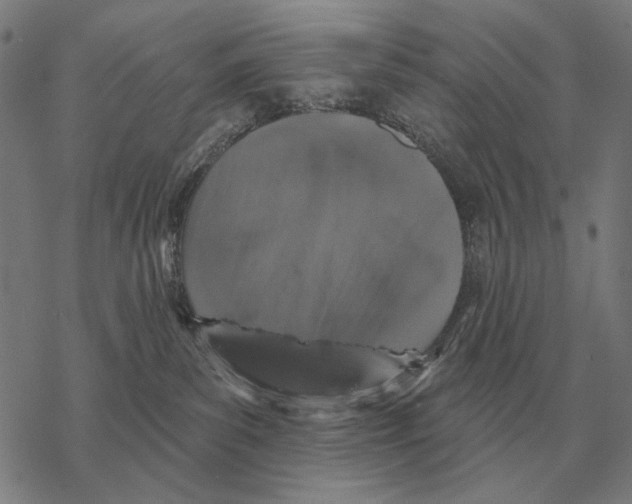 X0000068270139200605191837