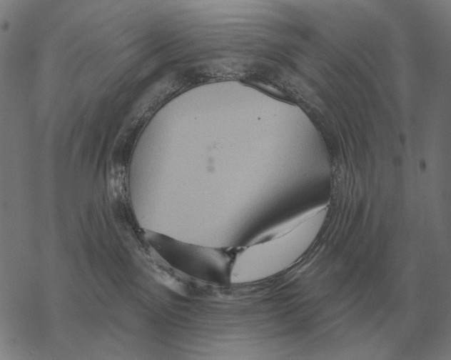 X0000068270141200605191837