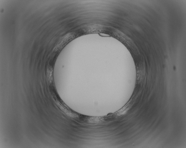 X0000068270142200605191837