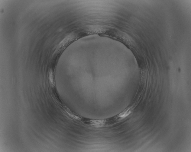 X0000068270143200605191837