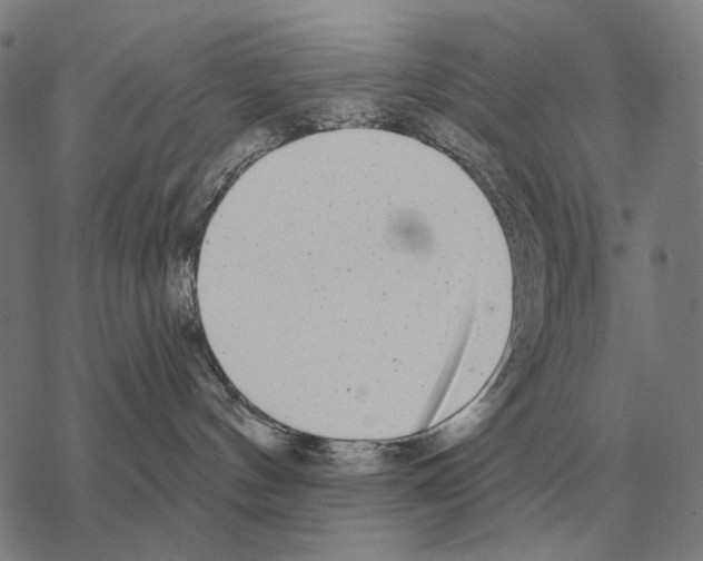 X0000068270144200605191837