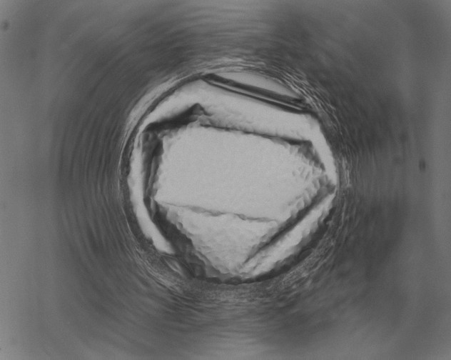 X0000068270147200605191836