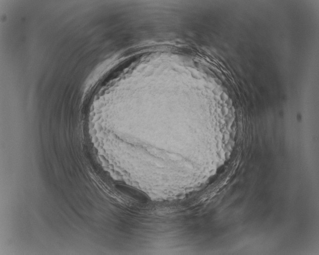 X0000068270149200605191836