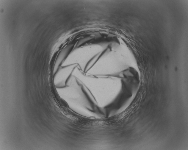 X0000068270152200605191836