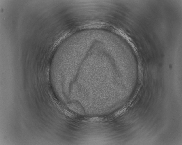 X0000068270153200605191836