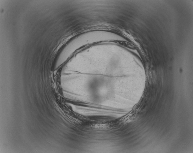 X0000068270154200605191836