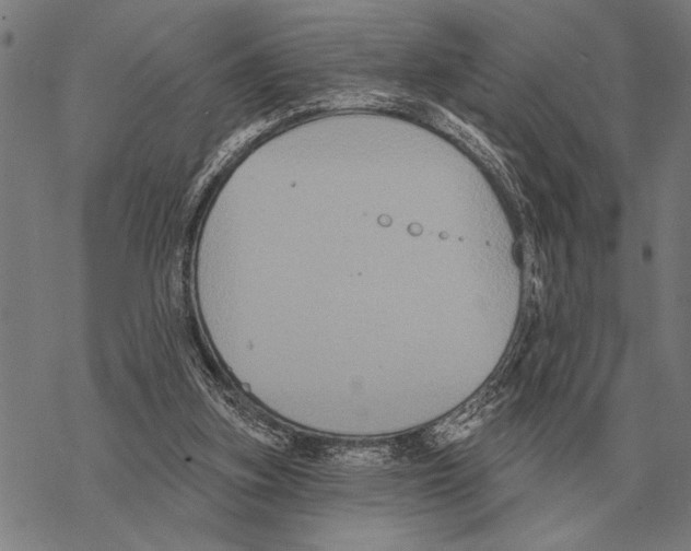 X0000068270155200605191836