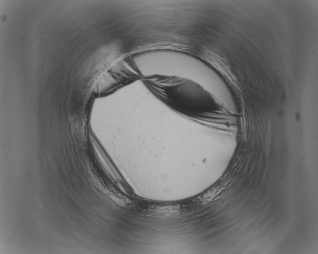 X0000068270156200605191836