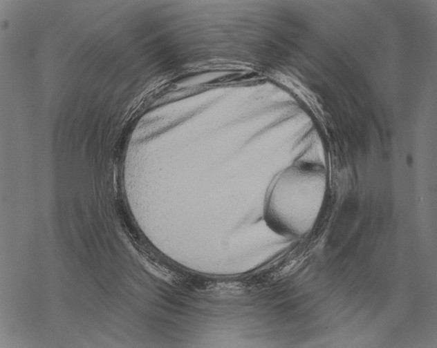 X0000068270157200605191837