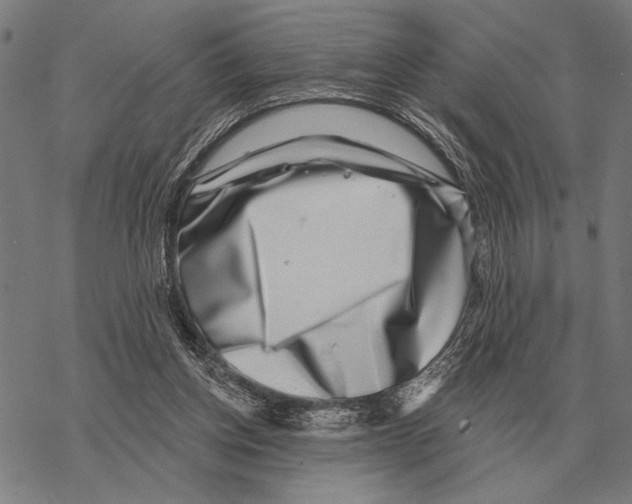 X0000068270158200605191837