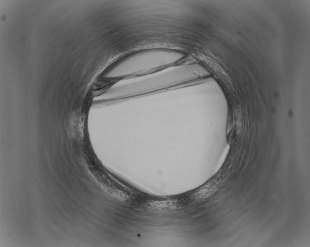 X0000068270160200605191837