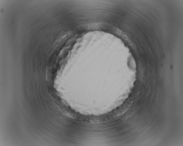 X0000068270161200605191837