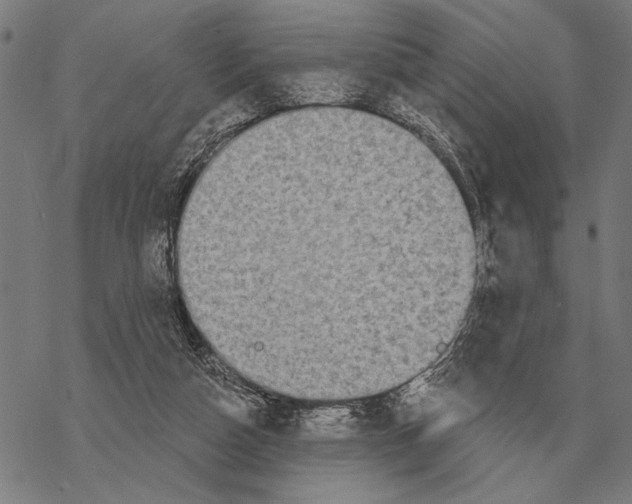 X0000068270162200605191837