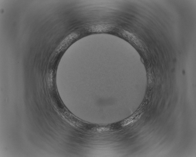 X0000068270163200605191837