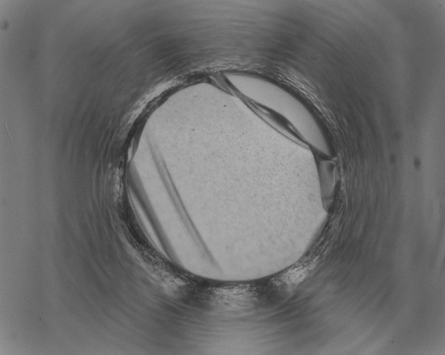 X0000068270164200605191837