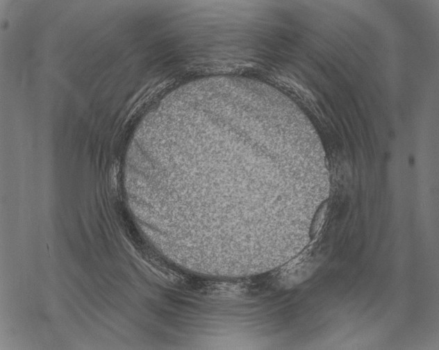 X0000068270166200605191837