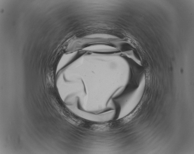 X0000068270170200605191837