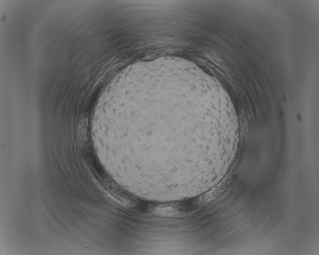 X0000068270171200605191837