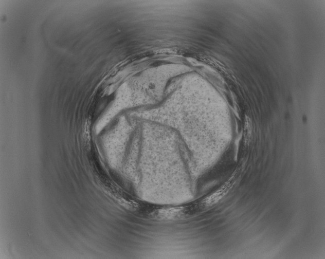 X0000068270172200605191837