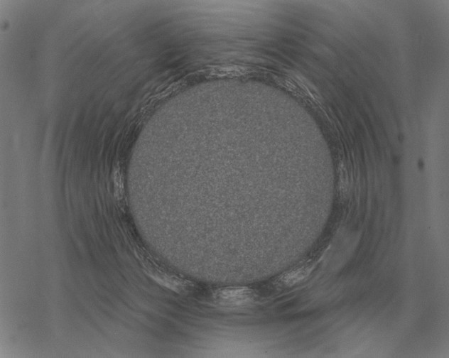 X0000068270173200605191837