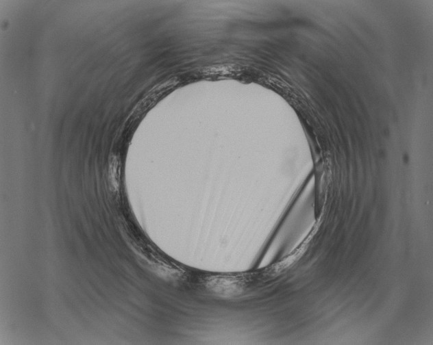 X0000068270174200605191837