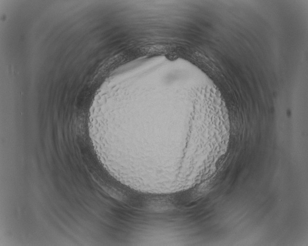 X0000068270175200605191837