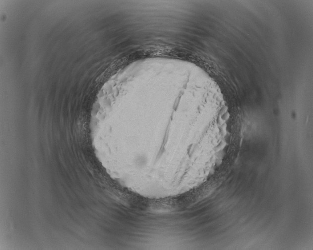 X0000068270177200605191837