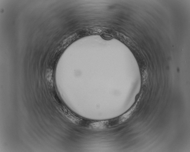 X0000068270178200605191837