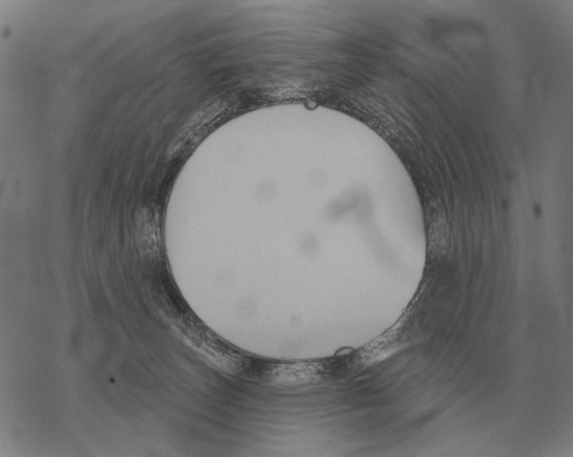 X0000068270179200605191837