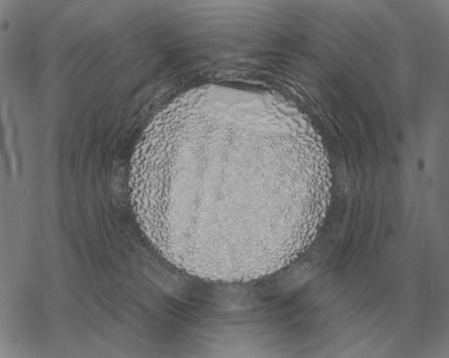 X0000068270181200605191837