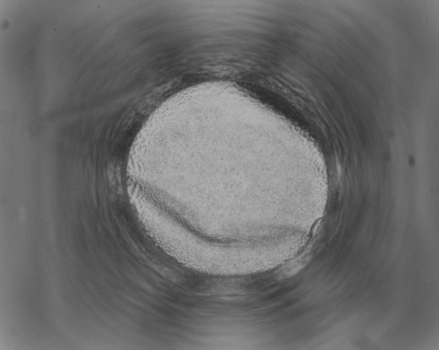 X0000068270182200605191837