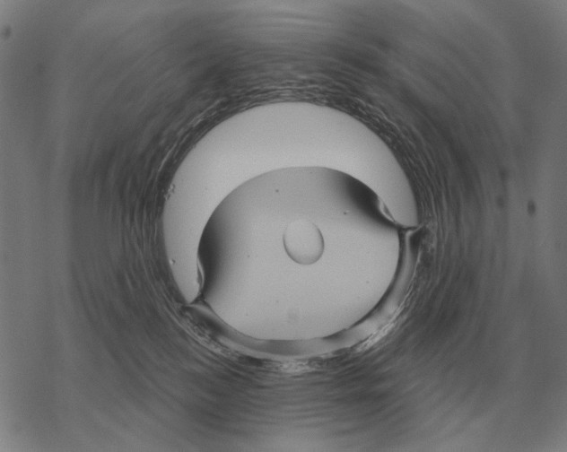 X0000068270184200605191837