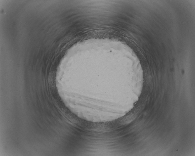 X0000068270185200605191837