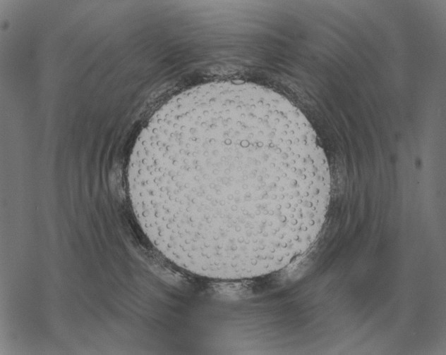 X0000068270187200605191837