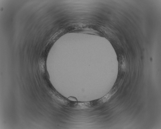 X0000068270188200605191837