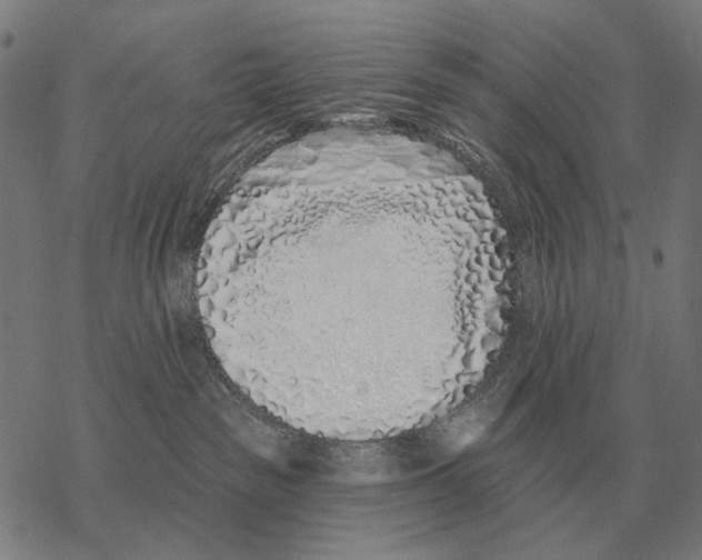 X0000068270189200605191837