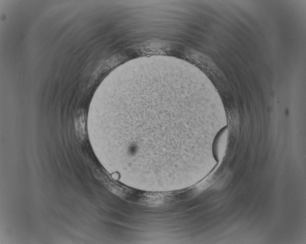 X0000068270190200605191837